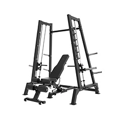 IBL-TS6600